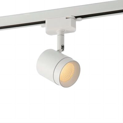 AC Surface Mounted Ceiling Spotlights 3000K Flush Mount LED Track Lighting
